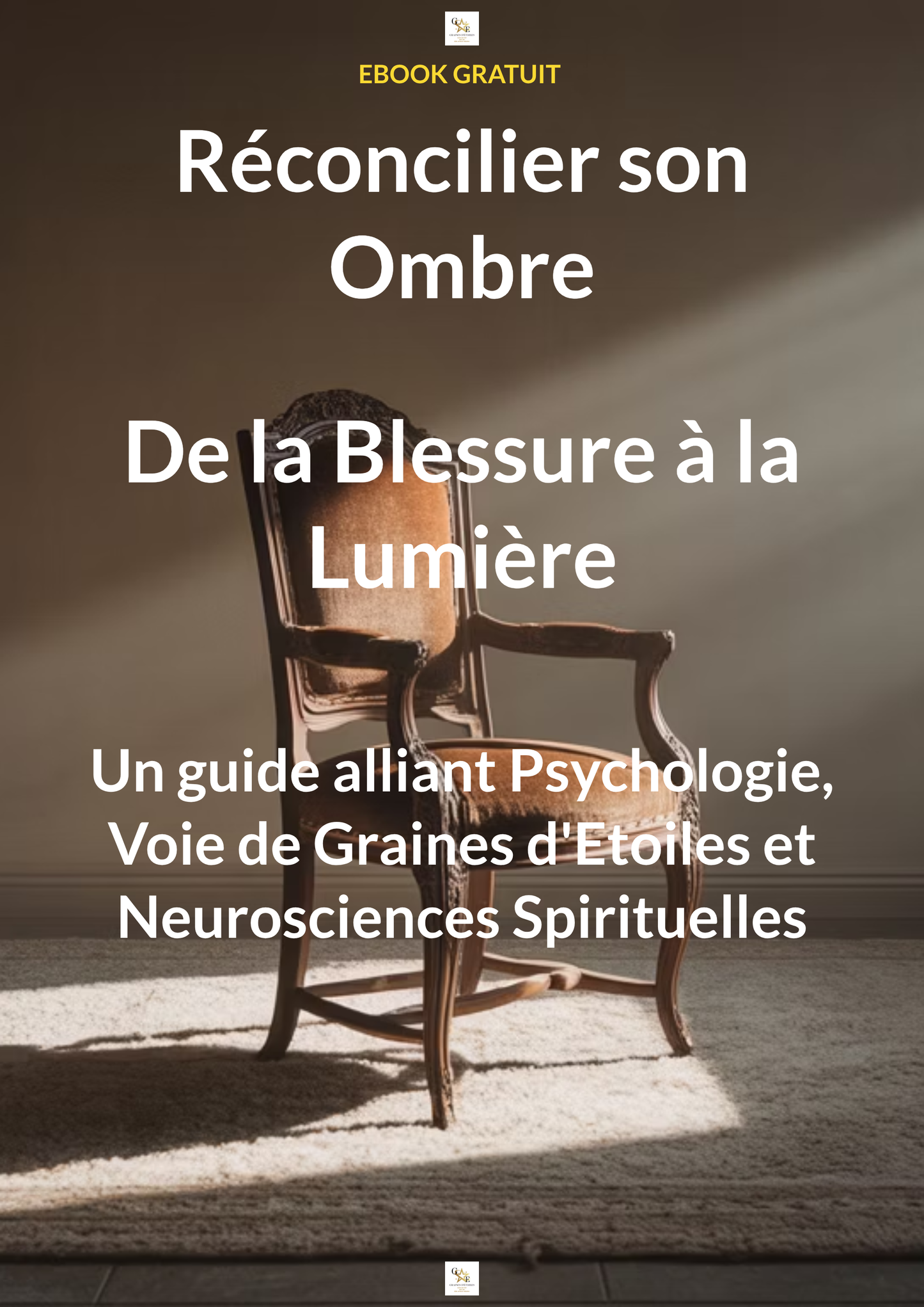 Ebook GRATUIT sur le Travail de l'ombre