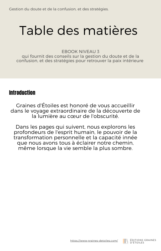 Ebook Trouver la Lumière dans l'Obscurité, L'Âge de la Crise