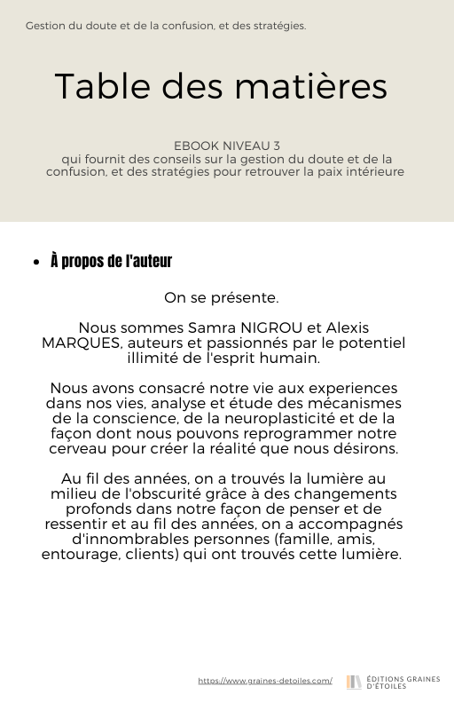 Ebook Trouver la Lumière dans l'Obscurité, L'Âge de la Crise