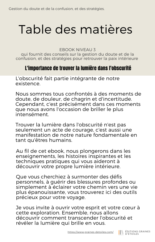 Ebook Trouver la Lumière dans l'Obscurité, L'Âge de la Crise