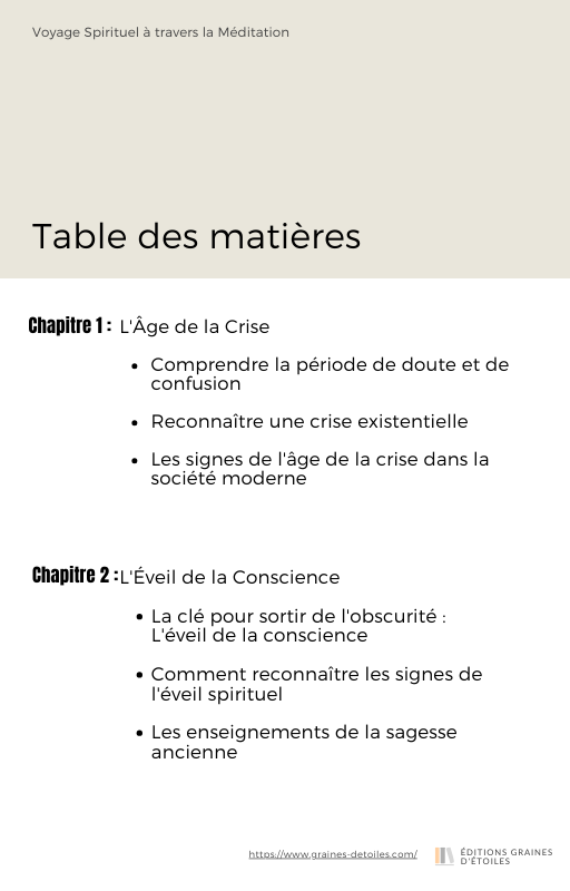 Ebook Trouver la Lumière dans l'Obscurité, L'Âge de la Crise