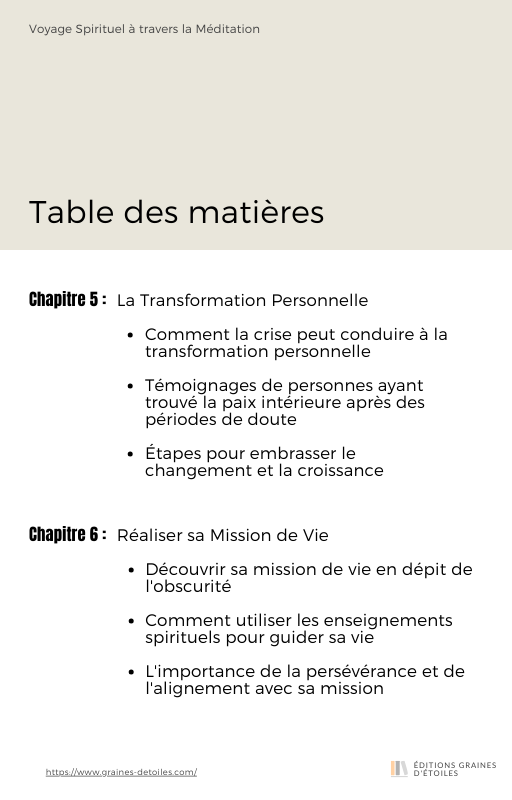 Ebook Trouver la Lumière dans l'Obscurité, L'Âge de la Crise