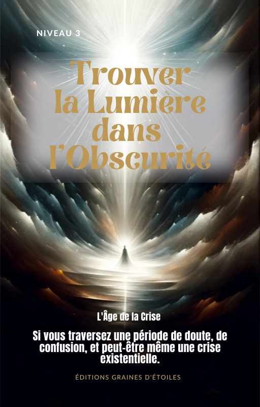 Ebook Trouver la Lumière dans l'Obscurité, L'Âge de la Crise