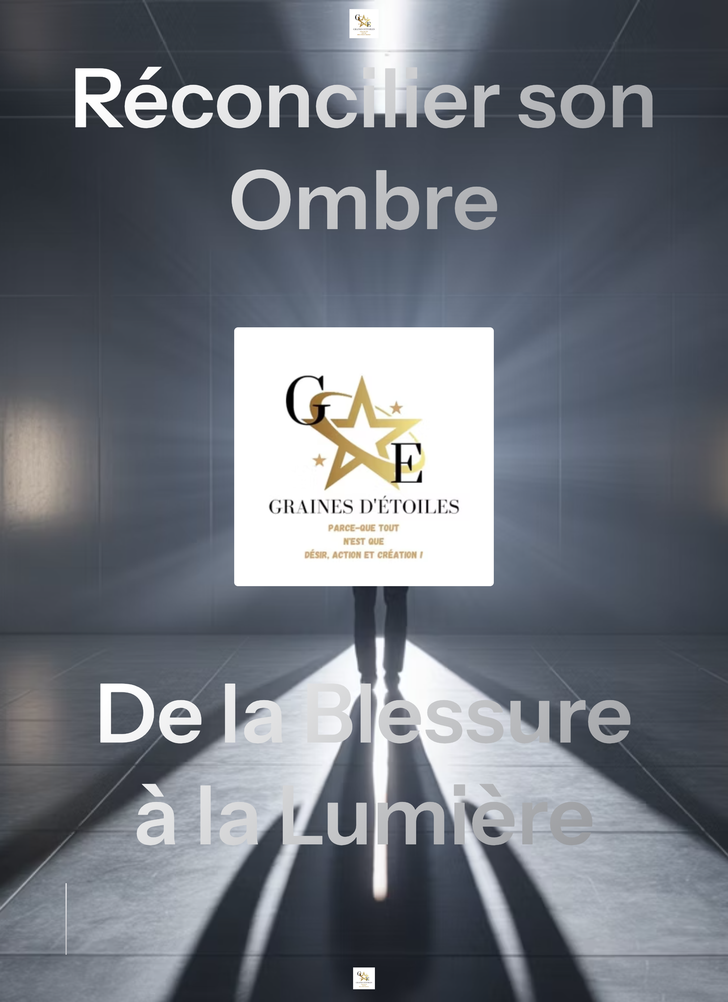 Réconcilier son Ombre : De la Blessure à la Lumière" (Un guide alliant Psychologie, Voie de Graines d'Etoiles et Neurosciences Spirituelles)