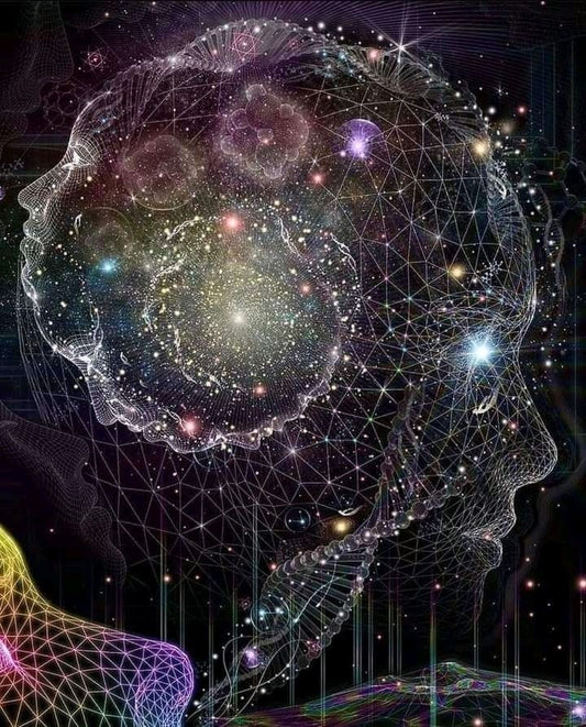 Formation en autonomie Niveau 1 Conscience endormie Briser l’autopilote et sortir du brouillard