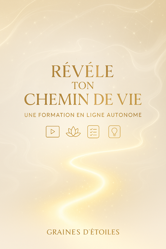 Formation en autonomie Devenir Créateur de ta Réalité,